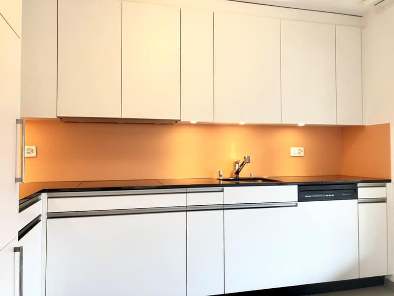 Ampio appartamento di 3,5 locali 120 m2 (4)