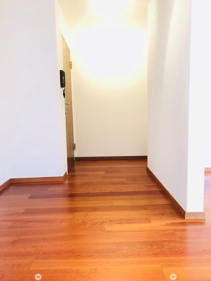 Grosse 3.5-Zimmereigentumswohnung 120 m2 (6)