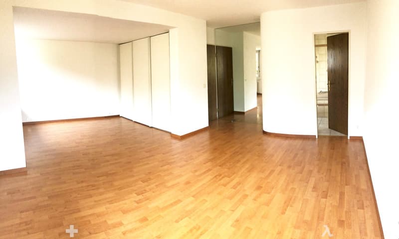 Grosse 3.5-Zimmereigentumswohnung 120 m2 (5)