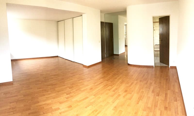 Ampio appartamento di 3,5 locali 120 m2 (5)