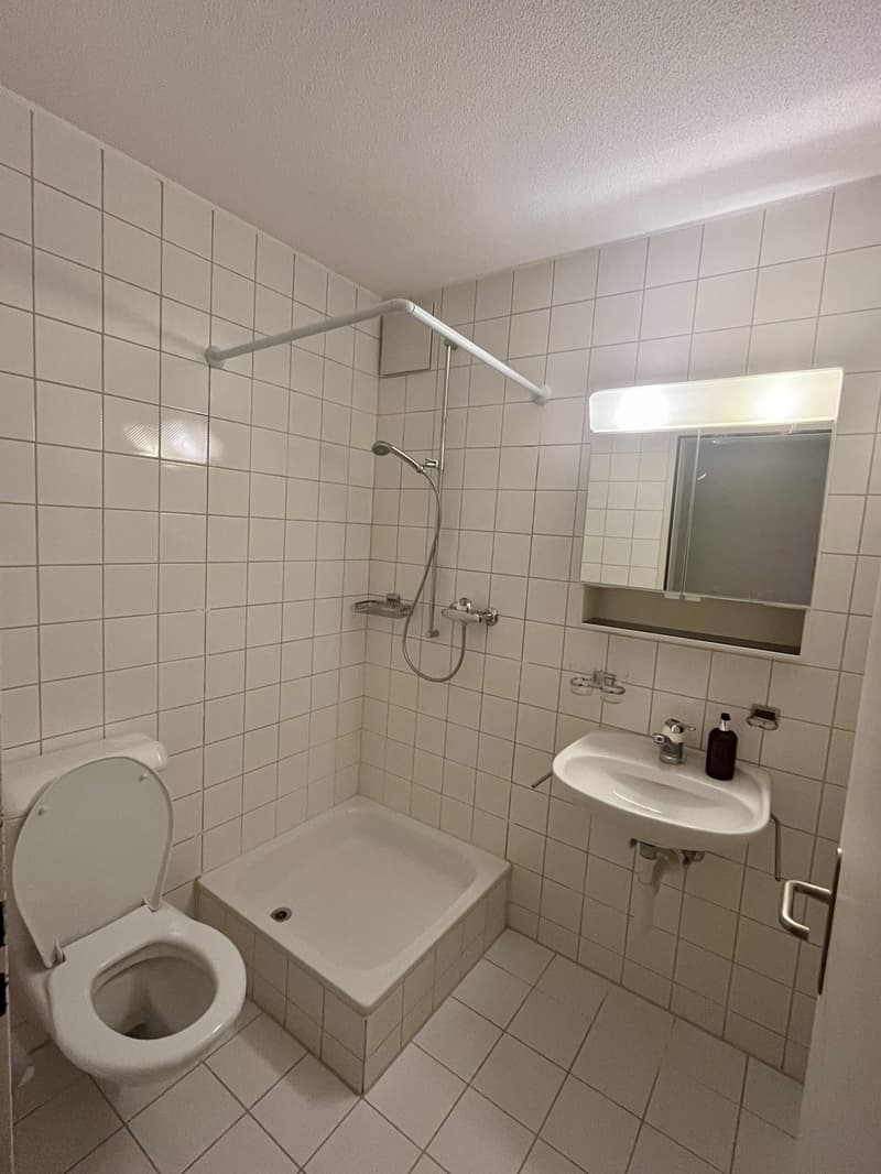 Charmante 4.5-Zimmerwohnung nahe Zihl zum Mieten (10)