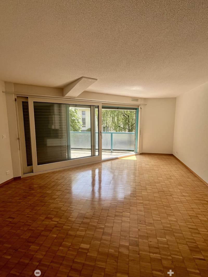 Charmante 4.5-Zimmerwohnung nahe Zihl zum Mieten (4)