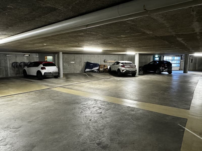 4.5-Zimmer-Wohnung mit Galerie (17)