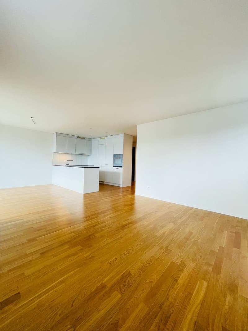 TOP MODERNE 4.5-Zwg im Herzogenbuchsee (5)