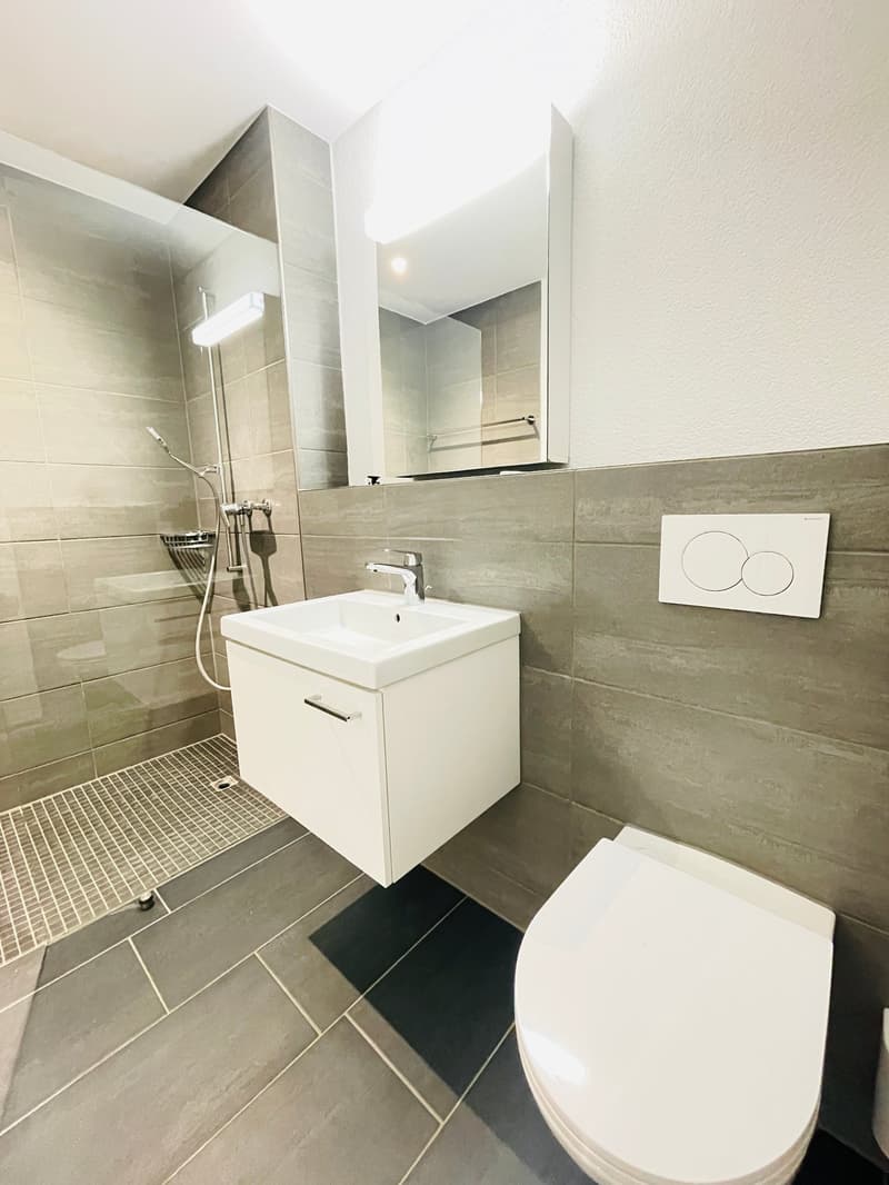 TOP MODERNE 4.5-Zwg im Herzogenbuchsee (7)