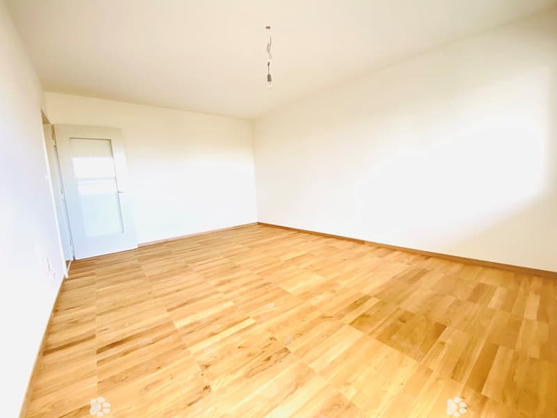 Sanierte 2-Zimmerwohnung direkt am Stadtpark (4)