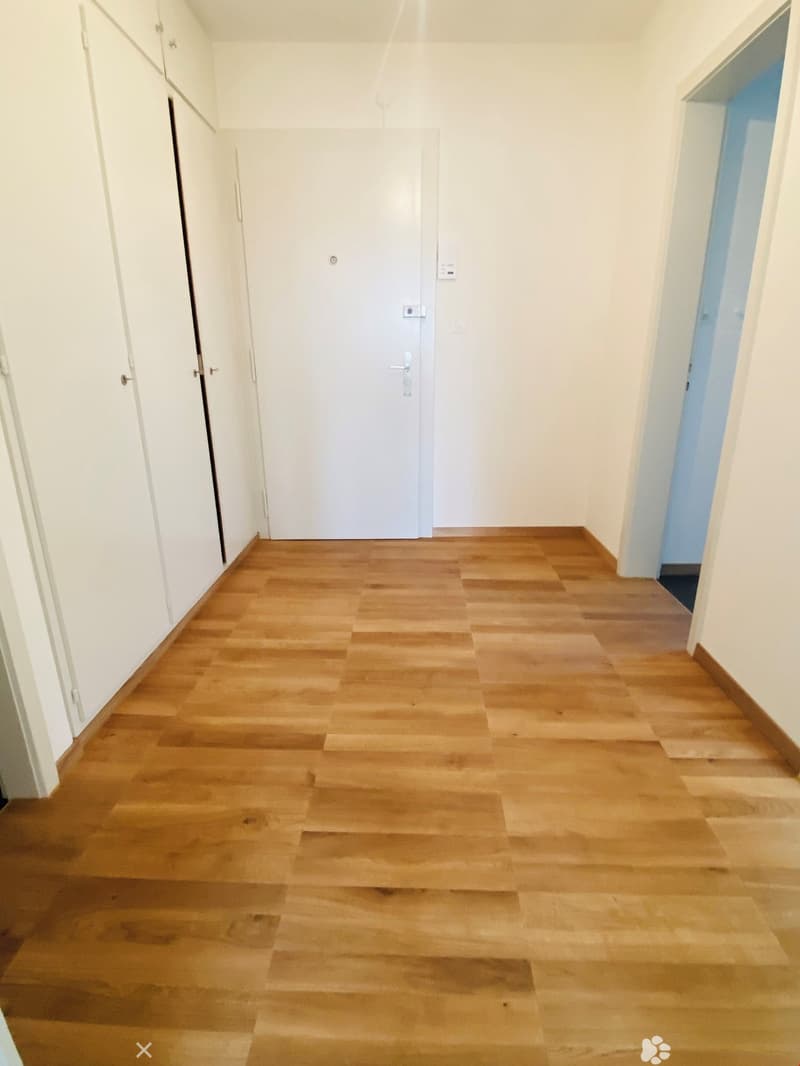 Sanierte 2-Zimmerwohnung direkt am Stadtpark (2)