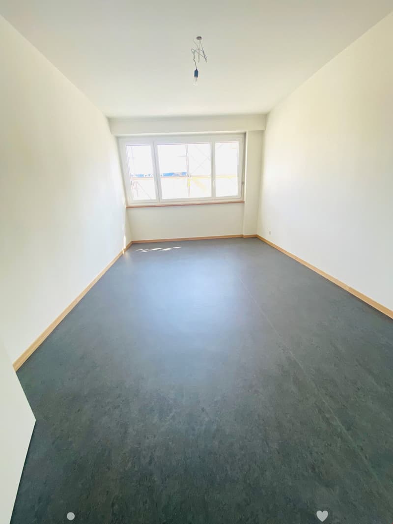 Sanierte 2-Zimmerwohnung direkt am Stadtpark (3)