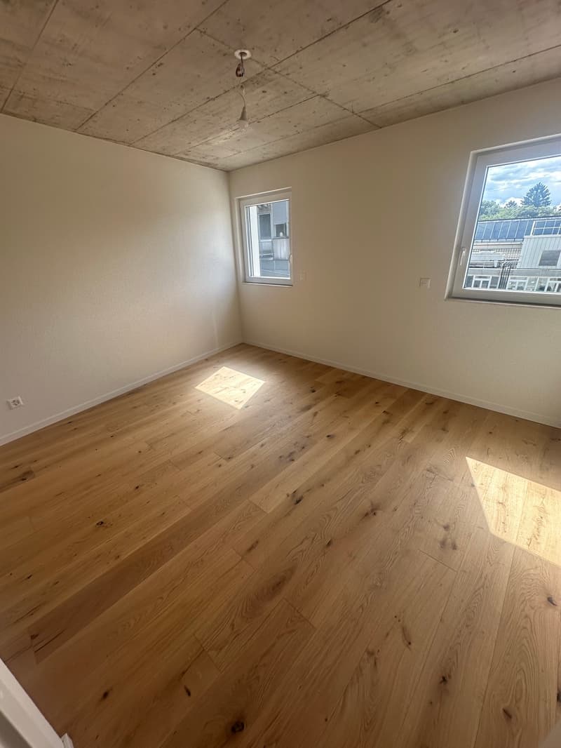 Neu ausgebaute 2.5-Zimmerwohnungen (4)