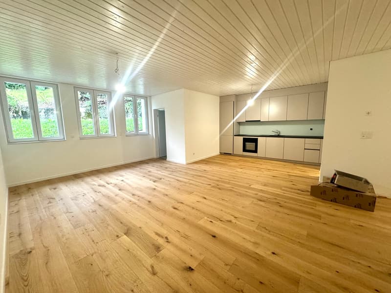 Neu ausgebaute 2.5-Zimmerwohnungen (8)