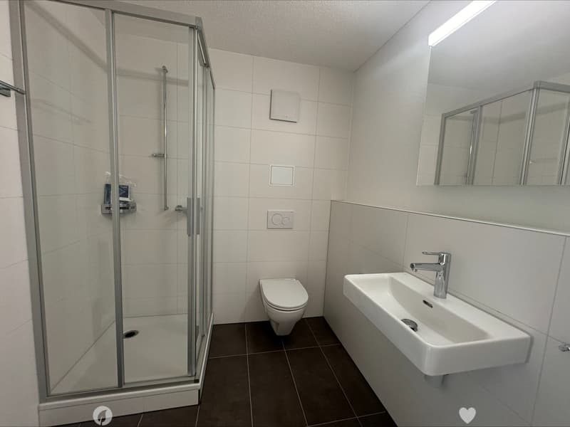 Komplett sanierte 3.5-Zimmerwohnung (7)