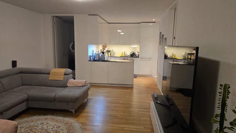 Orpund, Hohlenweg 2 2.5-ZWG mit Loggia (2)