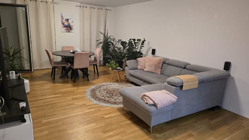 Orpund, Hohlenweg 2 2.5-ZWG mit Loggia (3)