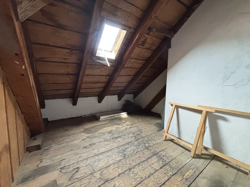 Grosszügige Loft mit separatem Schlafzimmer (11)