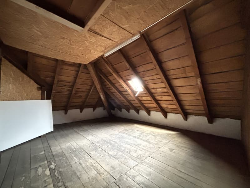 Grosszügige Loft mit separatem Schlafzimmer (10)