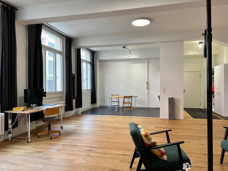 Grosszügiges Loft-Atelier / Büro an zentraler Lage (2)