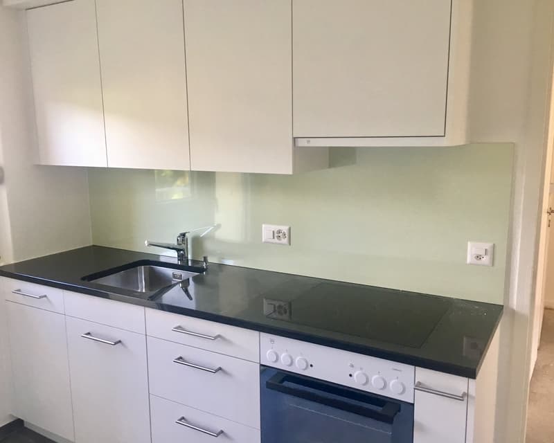 Charmante 2-Zimmerwohnung im beliebten Champagnequartier (1)