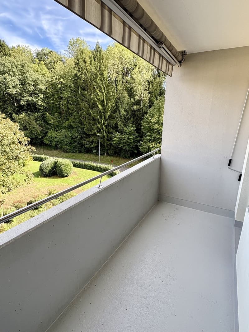 Attraktive 2-Zimmer-Wohnung in sehr ruhigem Quartier (4)