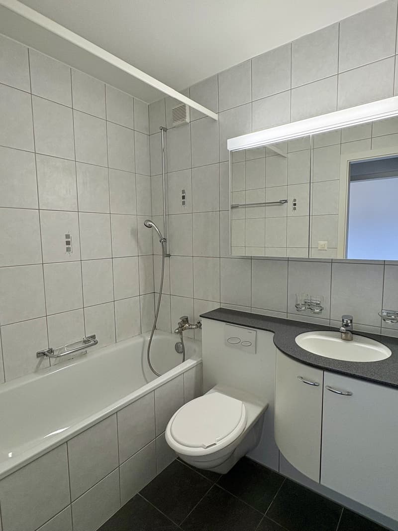Attraktive 2-Zimmer-Wohnung in sehr ruhigem Quartier (5)