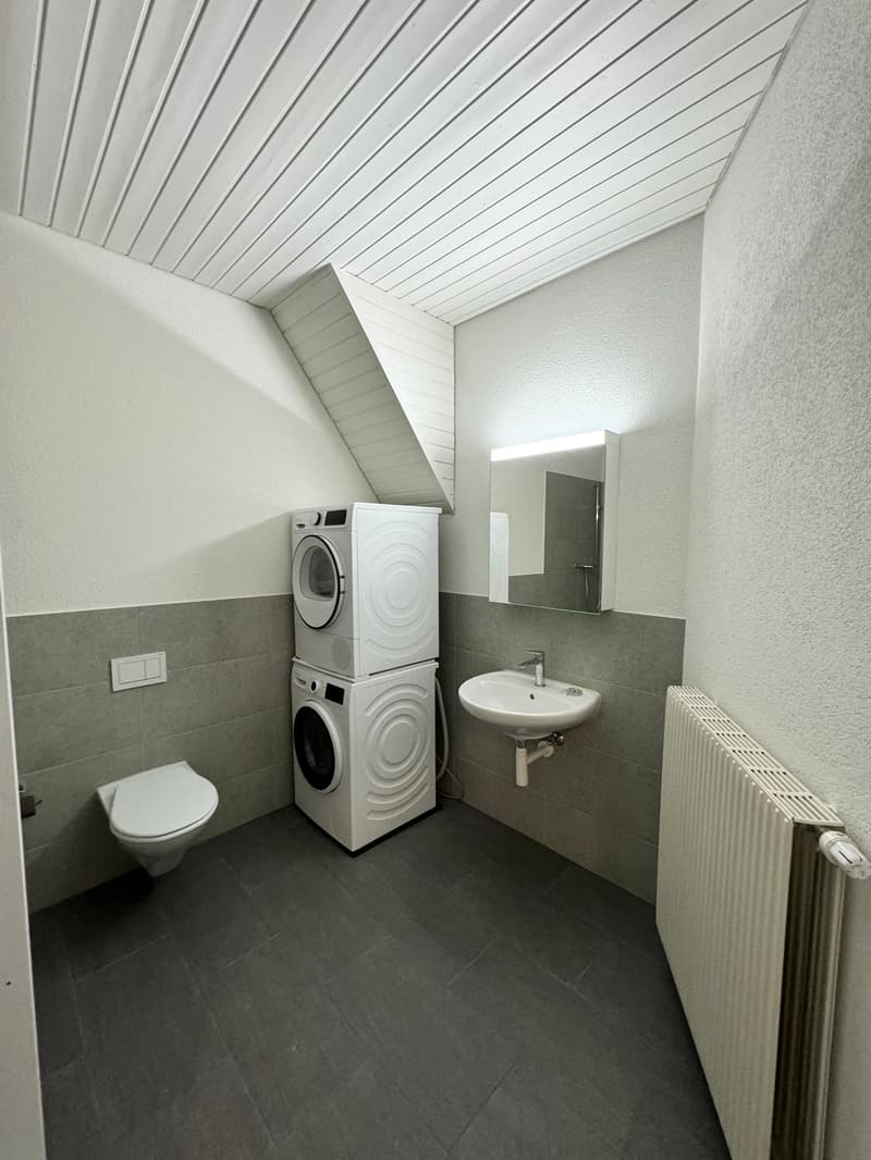 Renovierte 4.5-Zimmer-Duplex-Dachwohnung an zentraler Lage (8)
