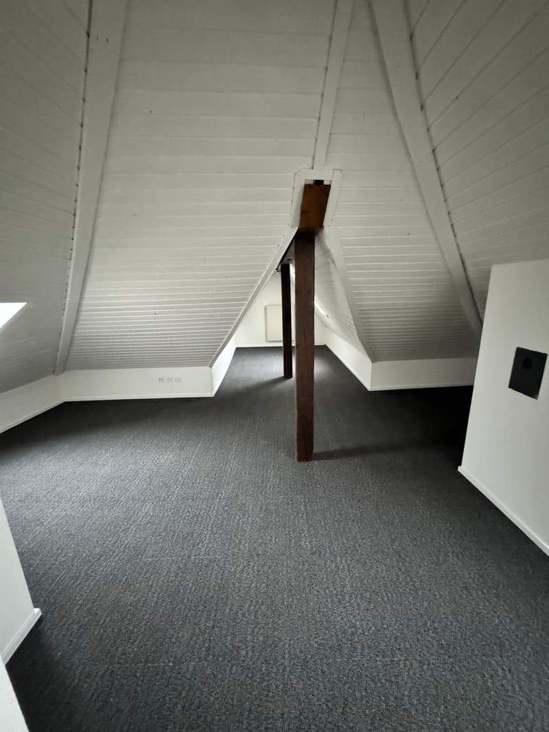 Renovierte 4.5-Zimmer-Duplex-Dachwohnung an zentraler Lage (6)