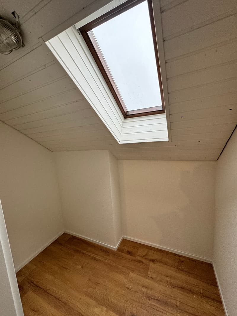 Renovierte 4.5-Zimmer-Duplex-Dachwohnung an zentraler Lage (7)