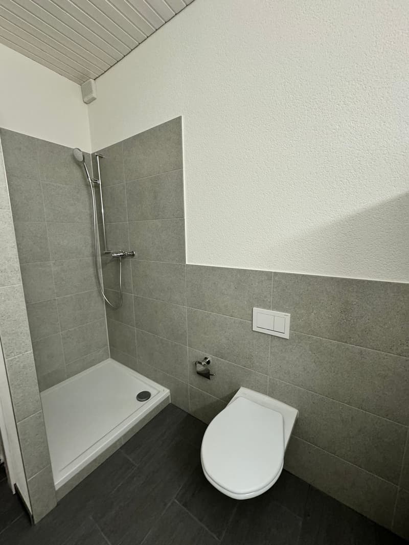 Renovierte 4.5-Zimmer-Duplex-Dachwohnung an zentraler Lage (9)
