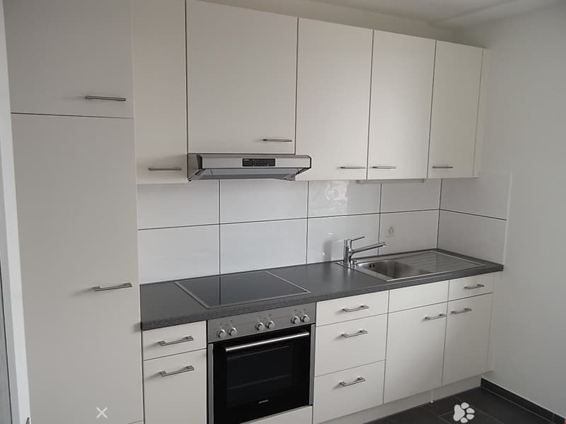 Moderne 1.5-Zi-Wohnung zu vermieten (2)