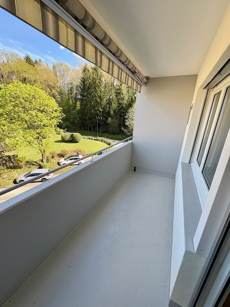 Attraktive 3.5-Zimmerwohnung in ruhigem Quartier (4)