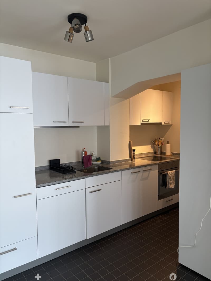 Helle 2-Zimmer-Loft an der Kontrollstrasse in Biel (5)