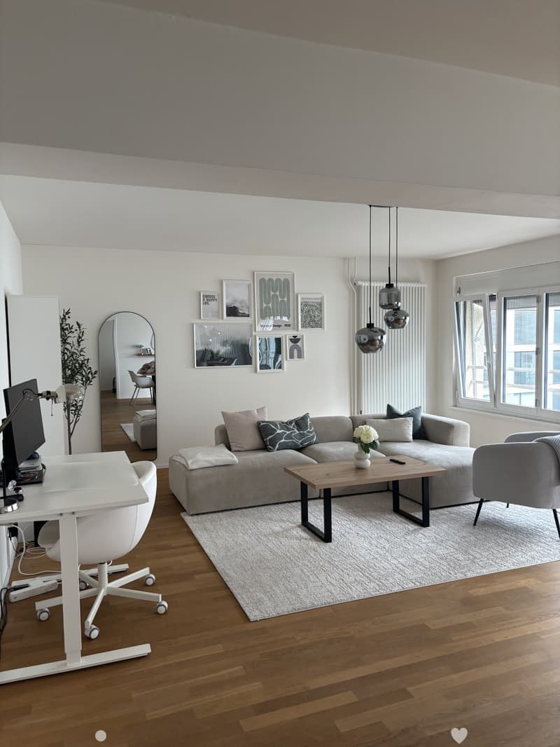 Helle 2-Zimmer-Loft an der Kontrollstrasse in Biel (1)