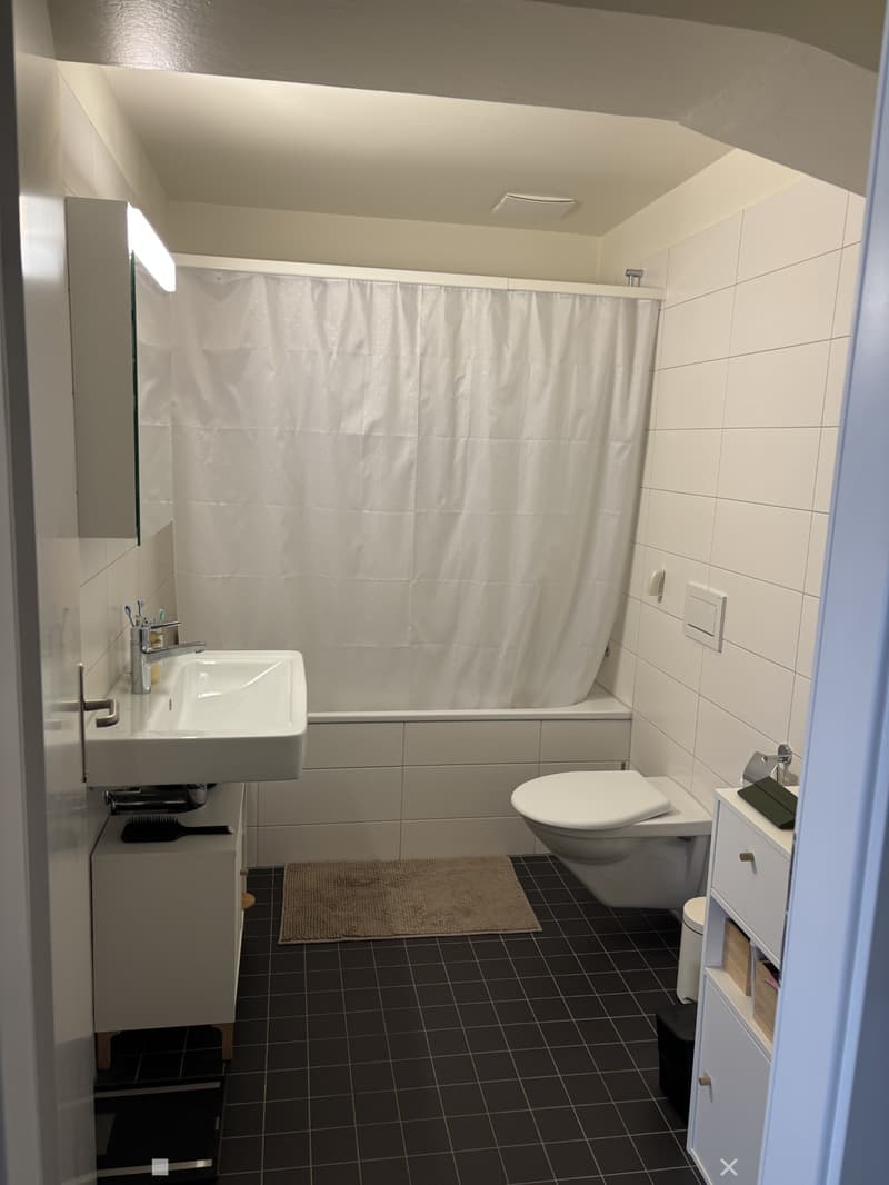 Helle 2-Zimmer-Loft an der Kontrollstrasse in Biel (6)