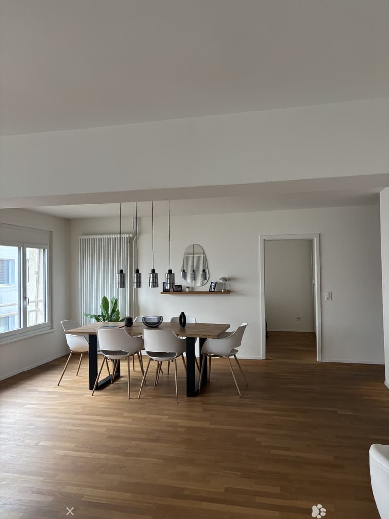 Helle 2-Zimmer-Loft an der Kontrollstrasse in Biel (2)