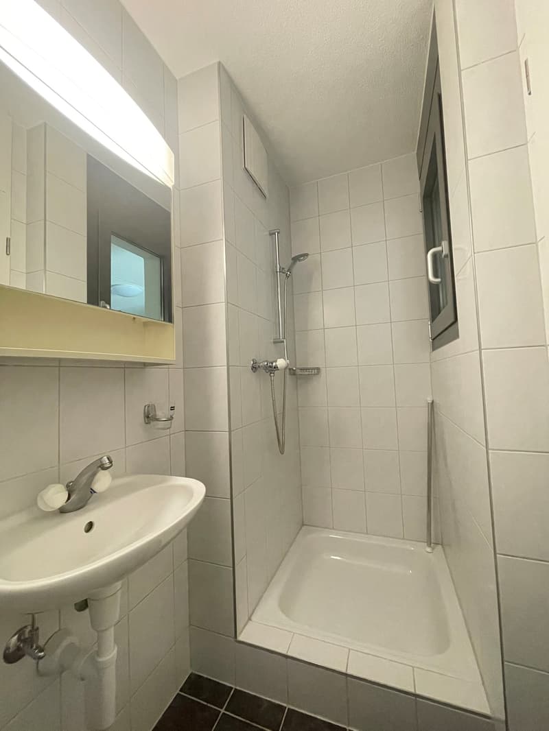 Attraktive 3.5-Zimmer-Duplex-Wohnung (8)