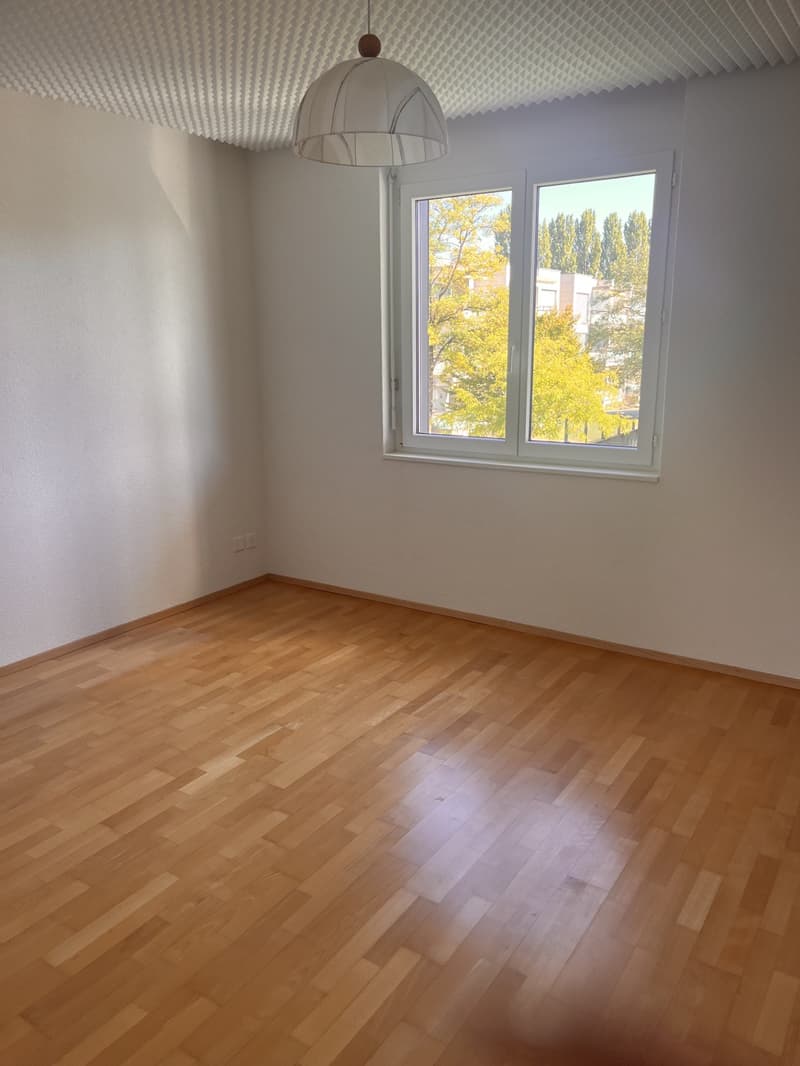 Helle 4-Zimmer-Wohnung mit Balkon und moderner Ausstattung in Biel (10)
