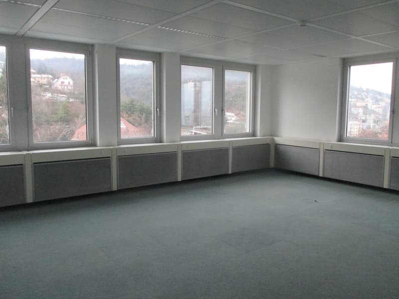 empty room, large windows, no furniture, low ceiling