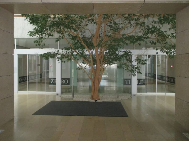large tree, shiny floor, automatic sliding doors, large black mat, modern architecture
