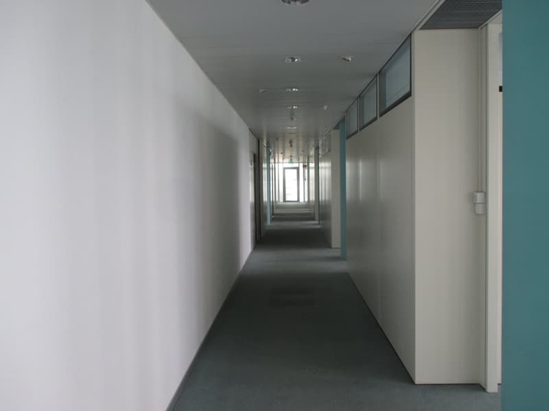 white walls, gray floor, square white panels on the walls, doors on the sides