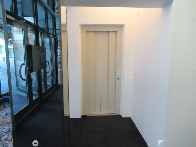 Glass doors leading to entrance hall, elevator, white walls, black carpet, sliding glass doors