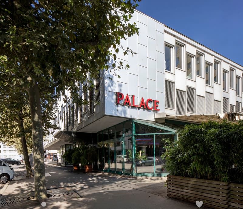 2-story building, white exterior, large glass windows, sign 'PALACE', plants, tree, sidewalk, cars