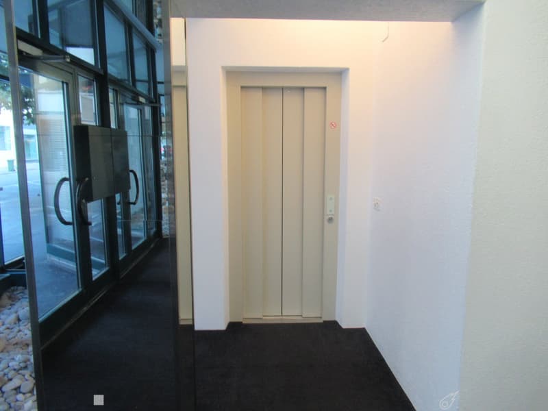 Glass doors leading to entrance hall, elevator, white walls, black carpet, sliding glass doors