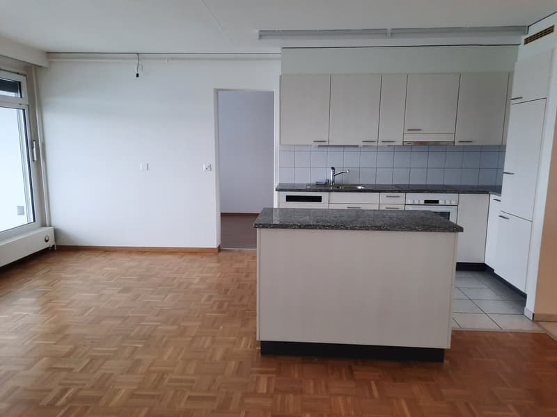 Appartamento 4.5 locali luminoso in affitto (2)