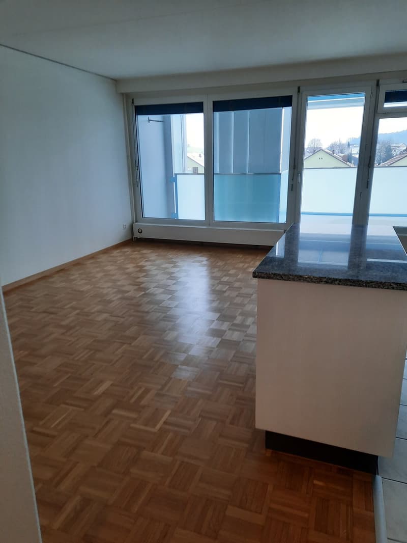 Appartamento 4.5 locali luminoso in affitto (3)
