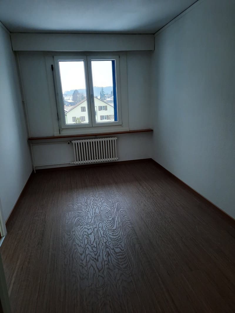 Appartamento 4.5 locali luminoso in affitto (5)