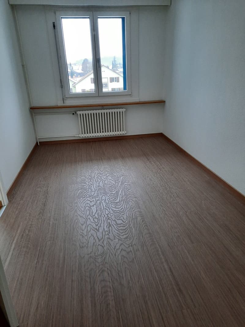 Appartamento 4.5 locali luminoso in affitto (6)