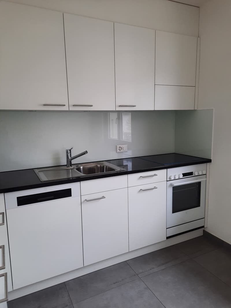 Appartamento di 3 camere al Johann-Lisserweg 6 (1)