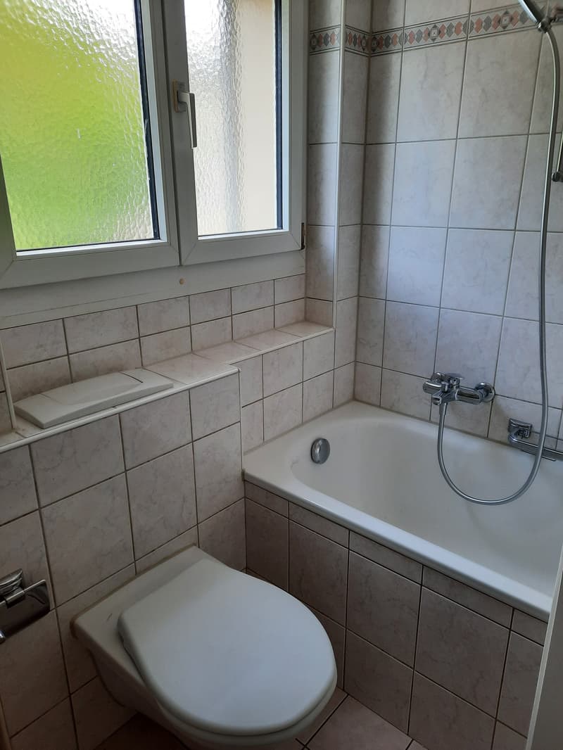 Appartamento di 3 camere al Johann-Lisserweg 6 (2)