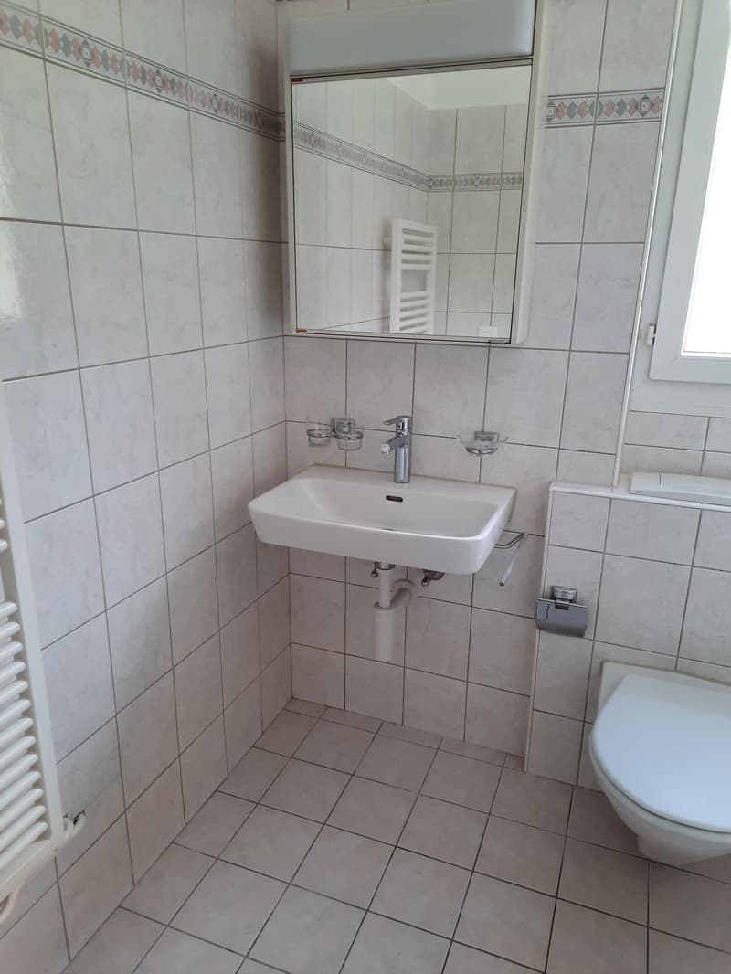 Appartamento di 3 camere al Johann-Lisserweg 6 (3)