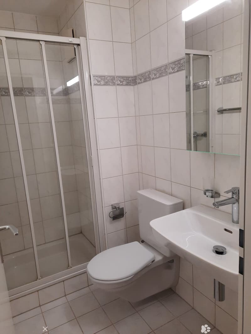 4,5-Zimmerwohnung am Schneidergässli 31 in Biel (6)