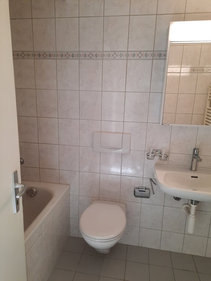 Lengnau - Wohnen im Grünen an ruhiger Lage (6)